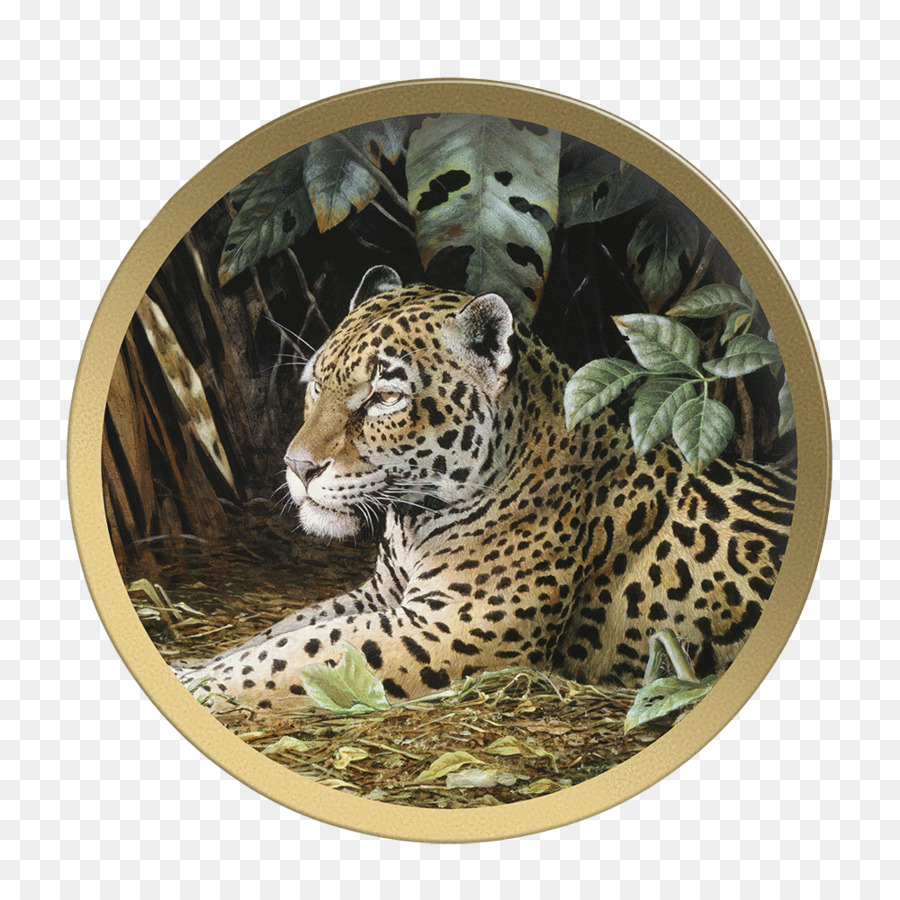 Leopar，Ağaç PNG