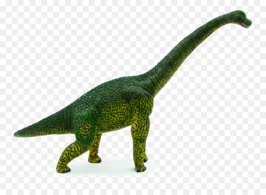 Brachiosaurus，Stegosaurus PNG