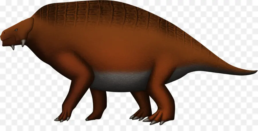 Scutosaurus，Parareptilia PNG