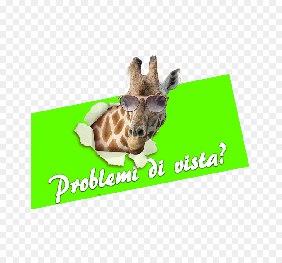 Zürafa，Vitrin PNG