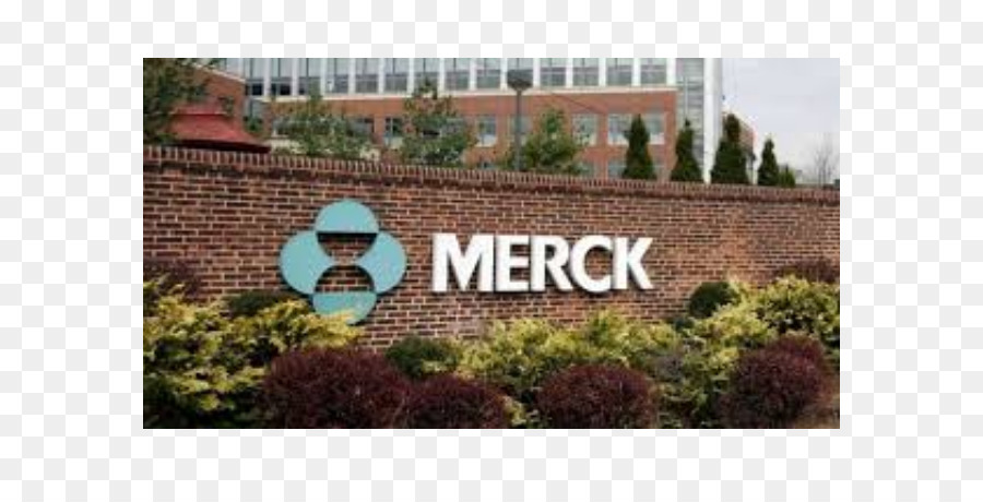 Merck Co，Merck Merkez Binası PNG