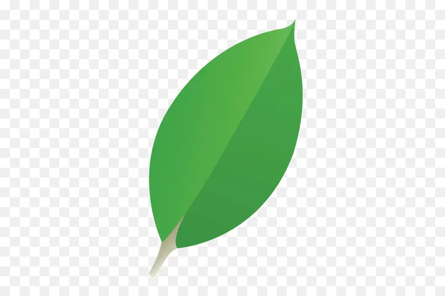 Yeşil，Yaprak PNG