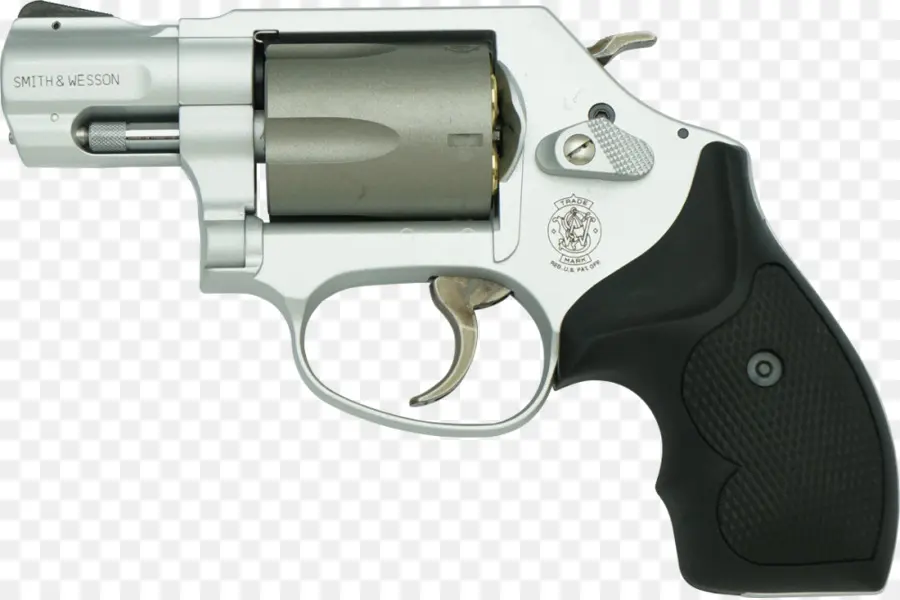 Smith Wesson，Tabanca PNG