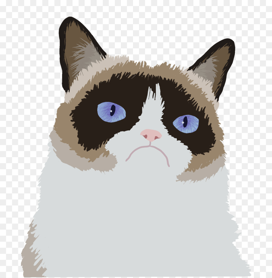 Kedi，Huysuz Kedi PNG