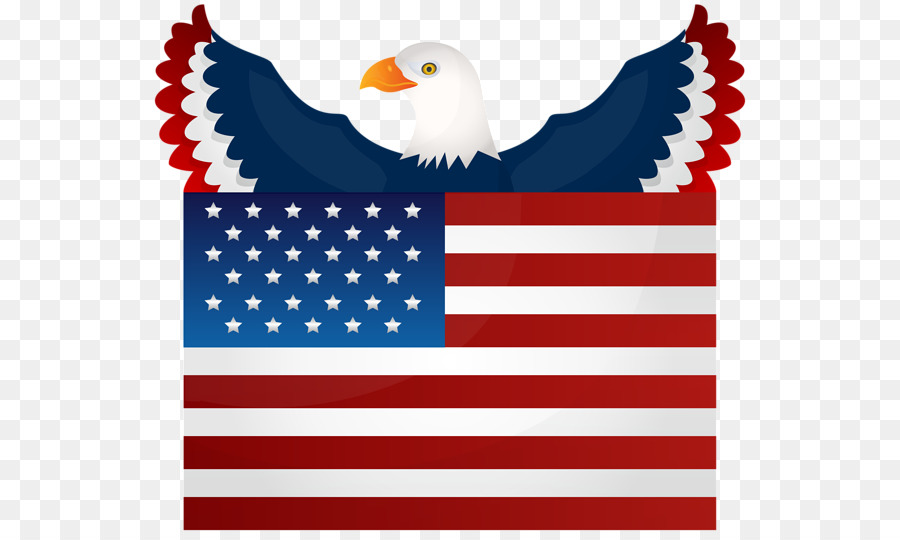 Amerikan Bayrağı，Kel Kartal PNG