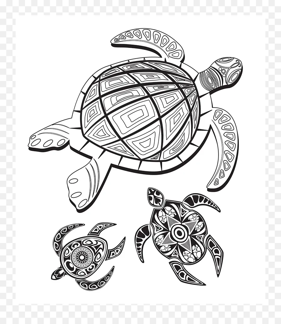 Kaplumbağa，Çizim PNG