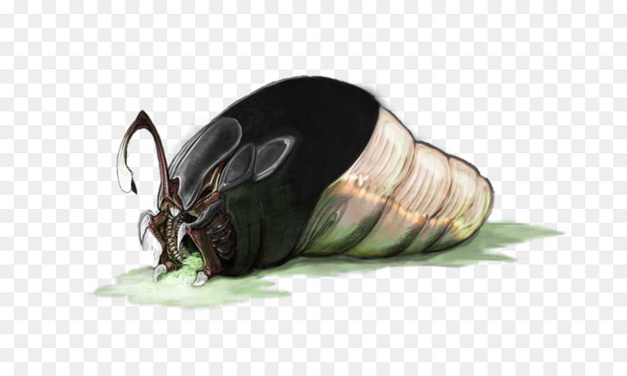 Fauna，Böcek PNG