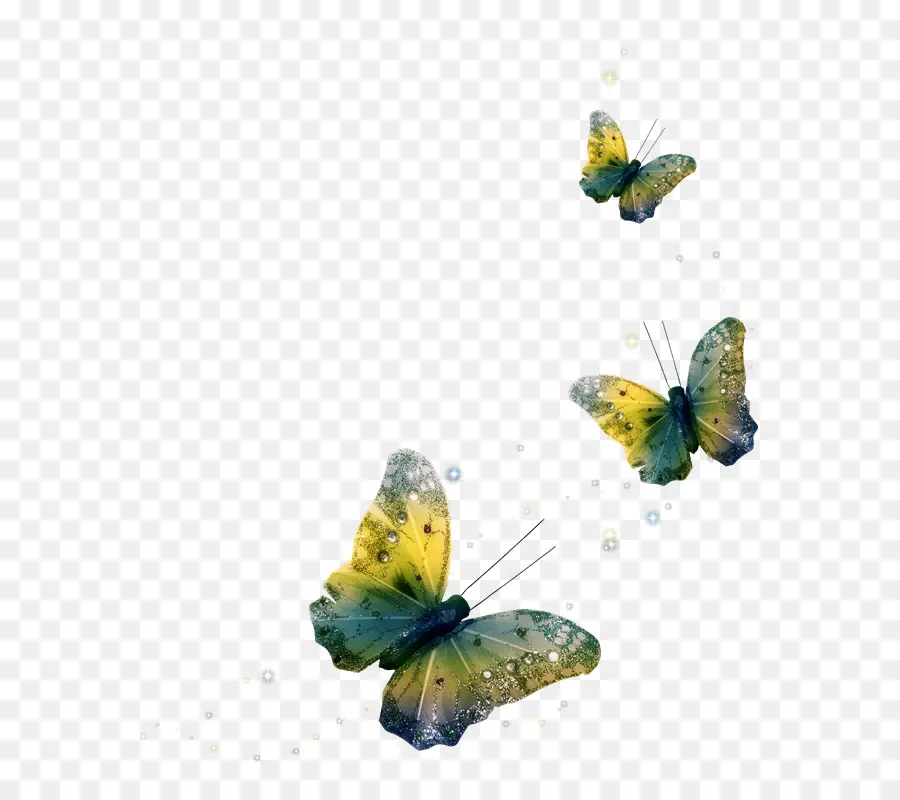 Kelebek，Photoscape PNG