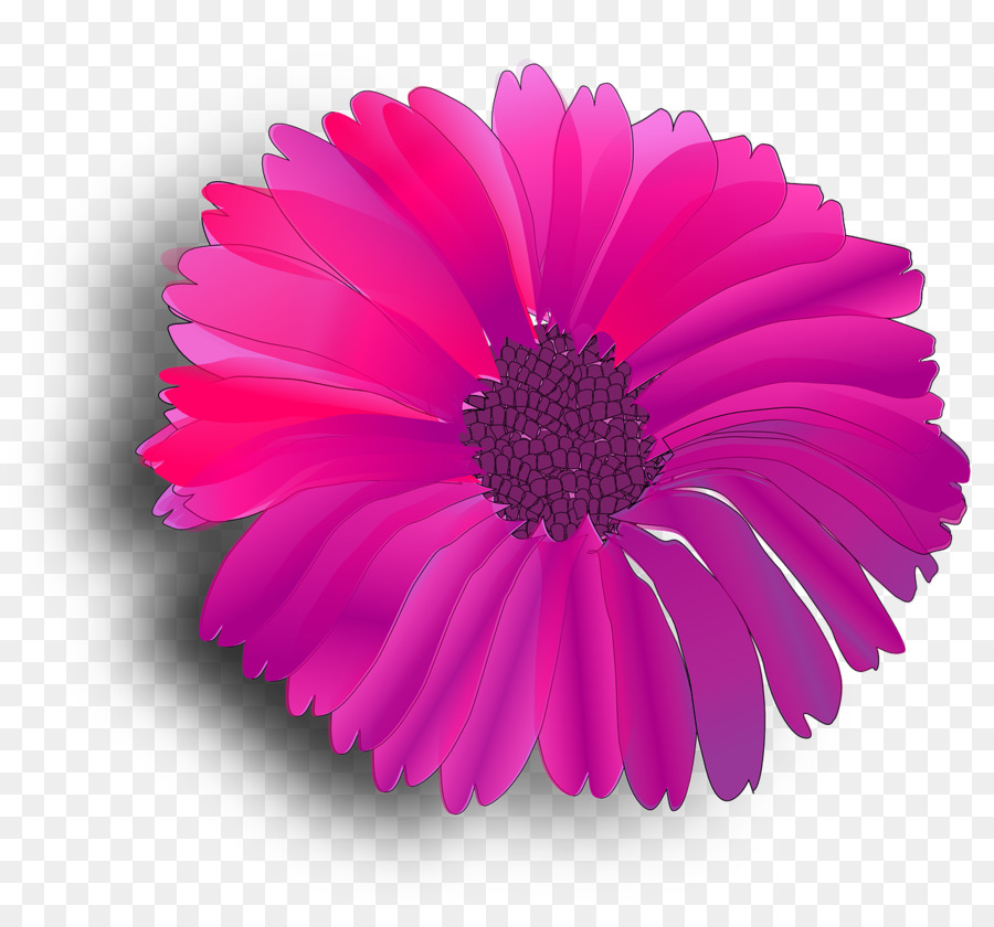 Küpe çiçeği，çiçek PNG