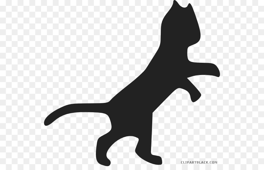 Kedi，Dogcat Ilişki PNG