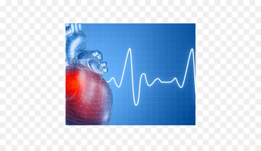 Kalp Ve Ekg，Ekg PNG