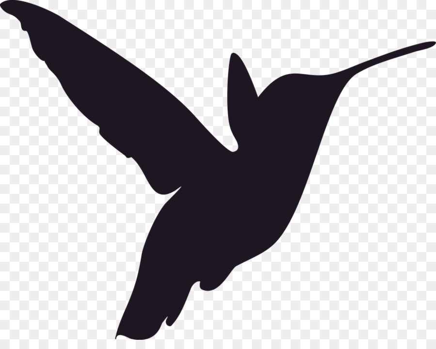 Sinekkuşu，Kuş PNG