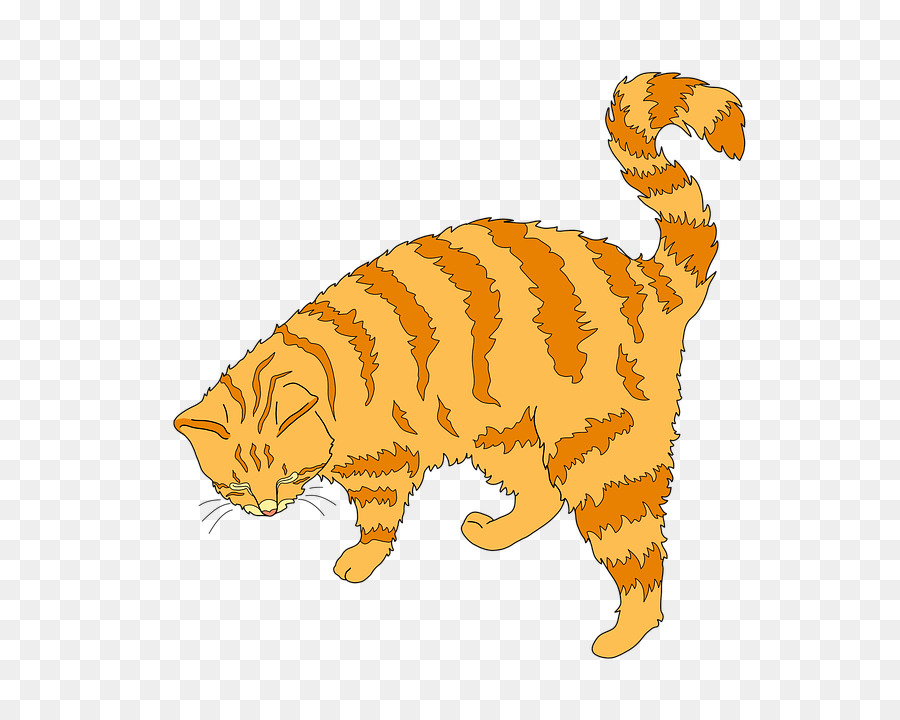 Çizgili Kedi，Kedi PNG