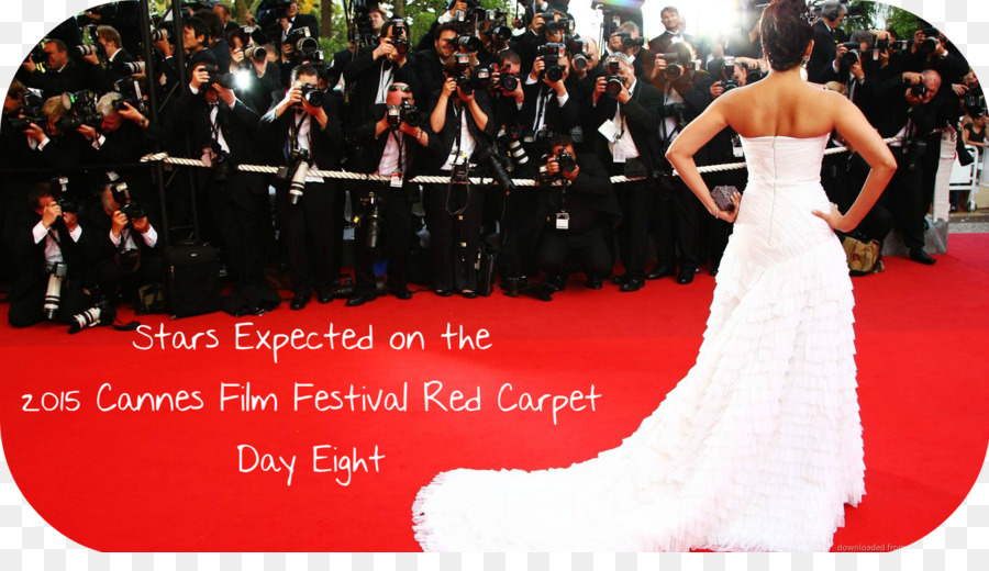 2010 Cannes Film Festivali，Kırmızı Halı PNG
