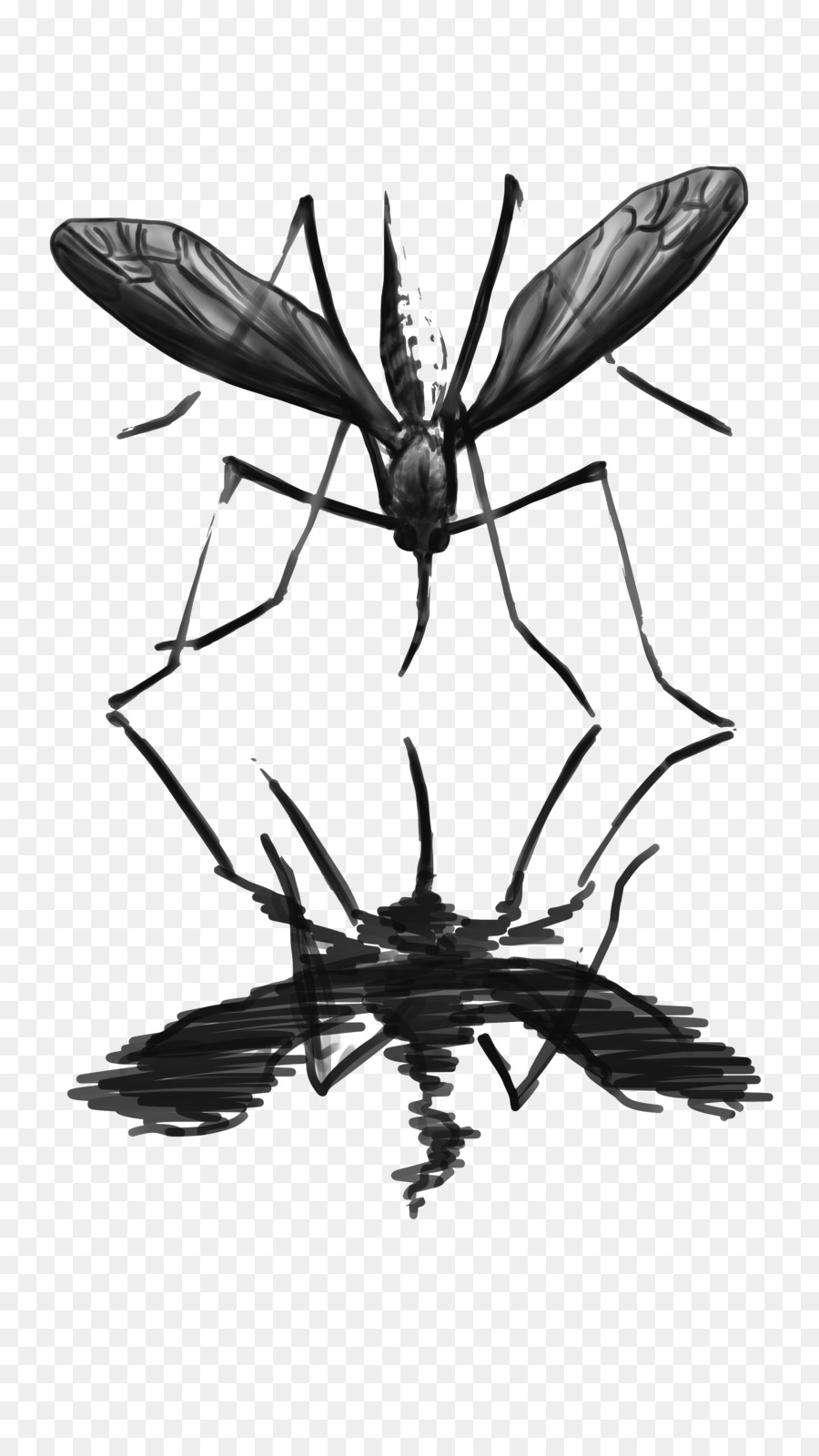 Böcek，Tozlayıcı PNG