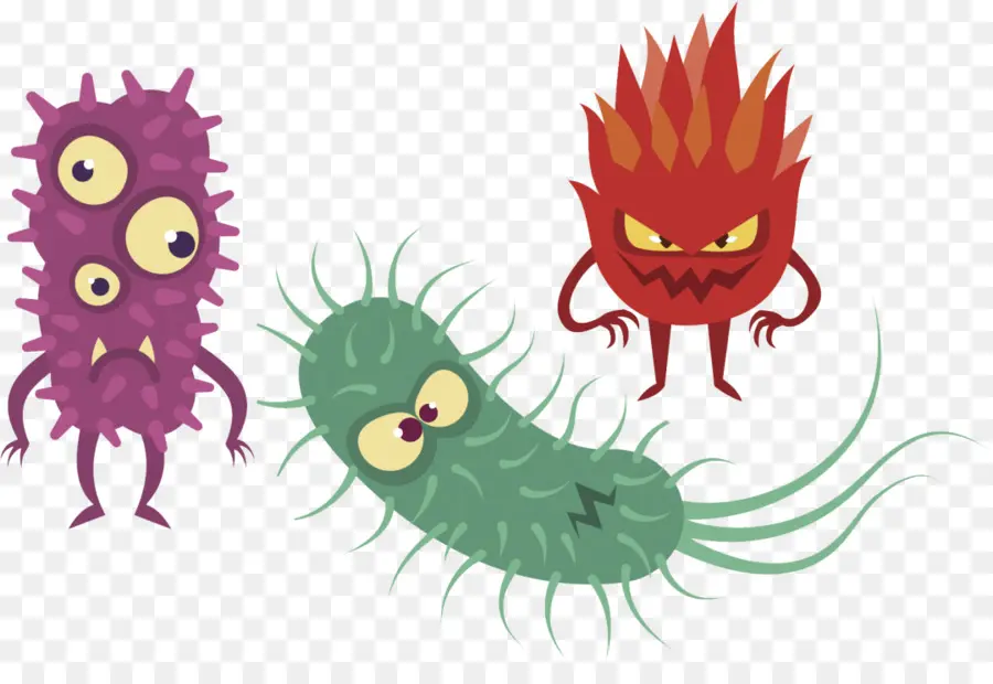 Bakteriler，Virüs PNG