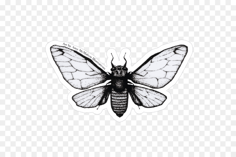Kelebek，Etiket PNG