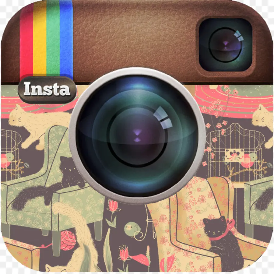 Instagram Simgesi，Sosyal Medya PNG