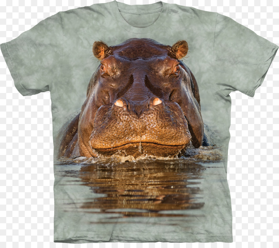 Tshirt，Gömlek PNG