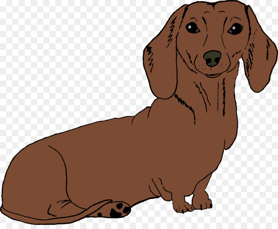 Köpek，Kahverengi PNG