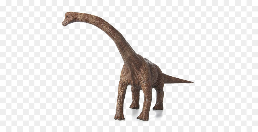 Brachiosaurus，Dinozor PNG