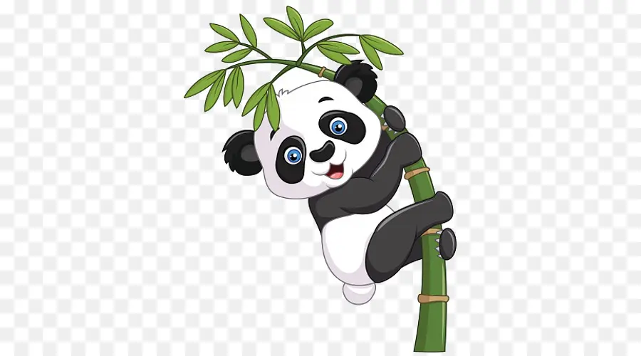 Panda，Karikatür PNG