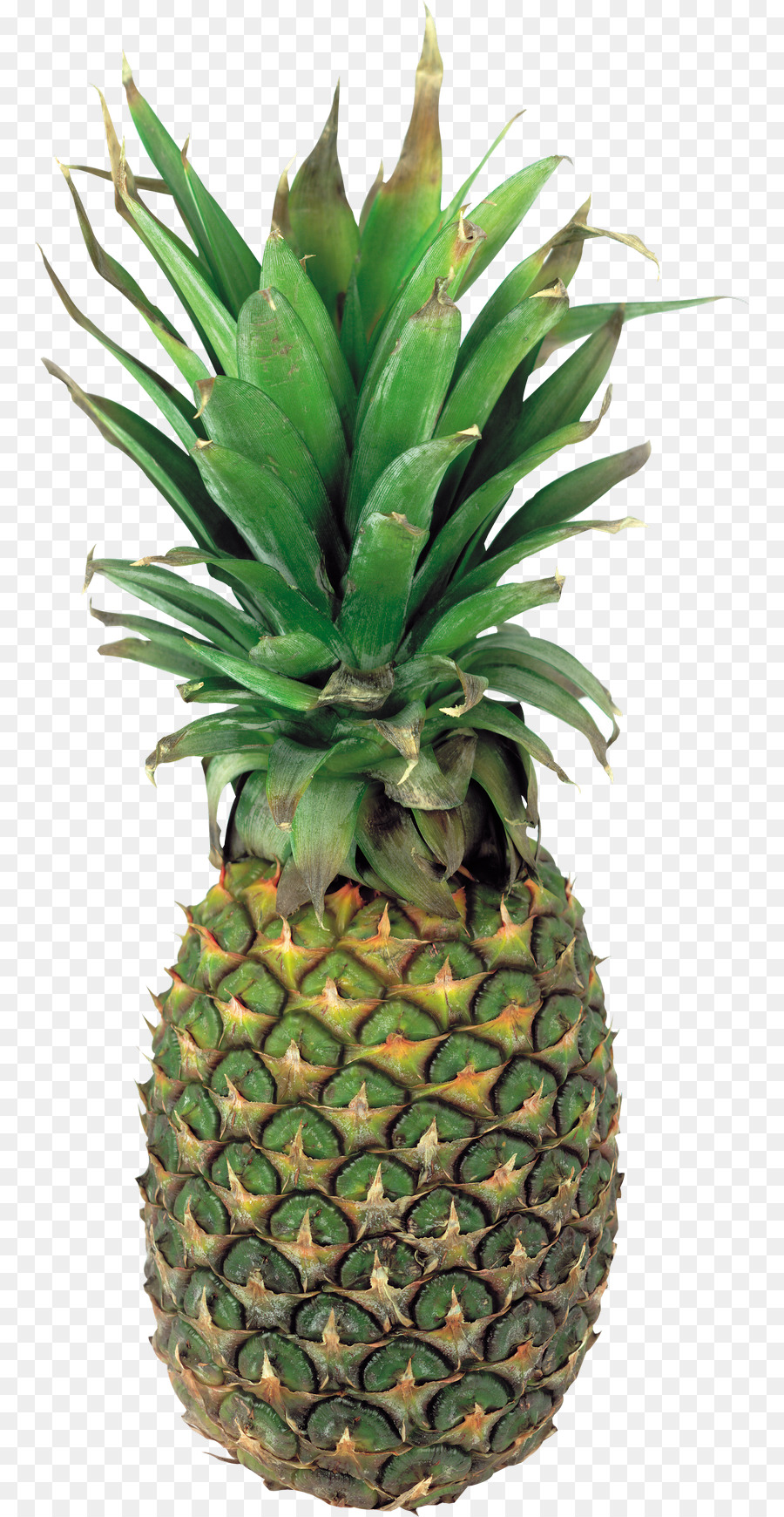 Mavi Ananas，Meyve PNG