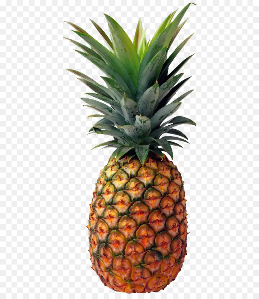 Ananas，Tropikal PNG