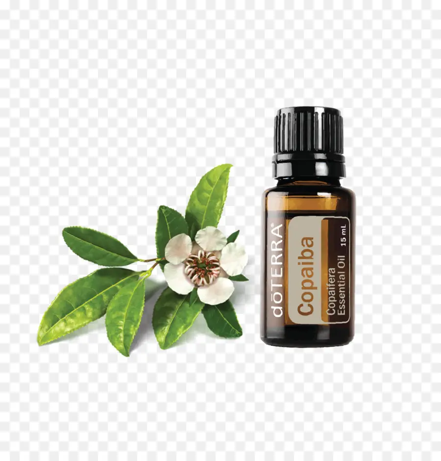 Doterra Copaiba Yağı，Esansiyel Yağ PNG