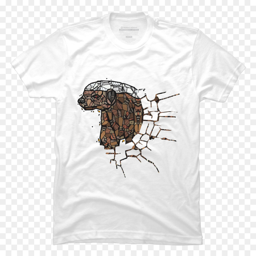 Tshirt，Kaplumbağa PNG