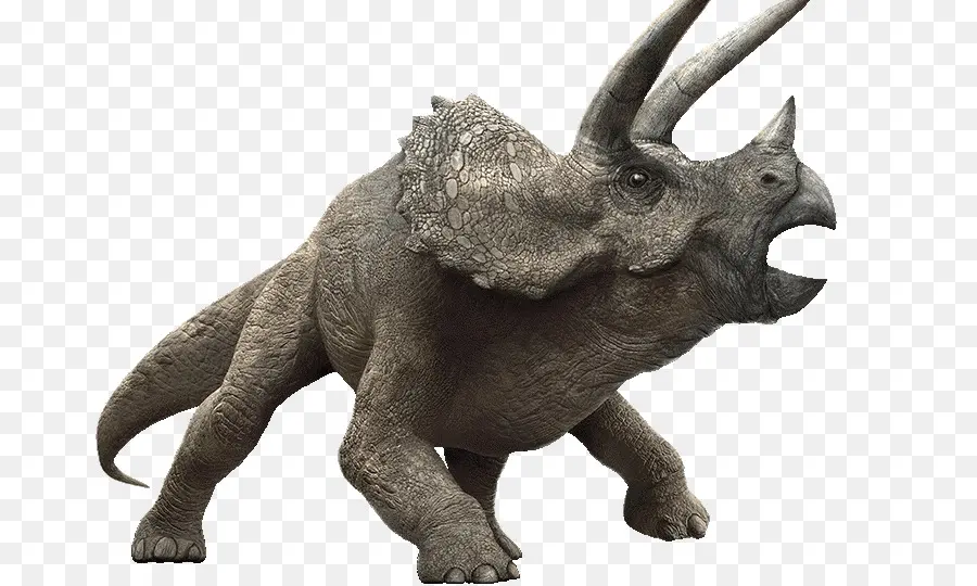 Triceratops，Tarih öncesi PNG