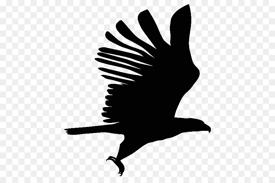 Kuş，Hareket Milyoner PNG