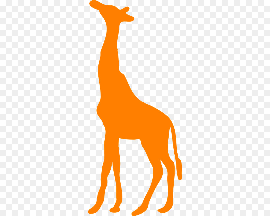 şekil，Kuzey Zürafa PNG