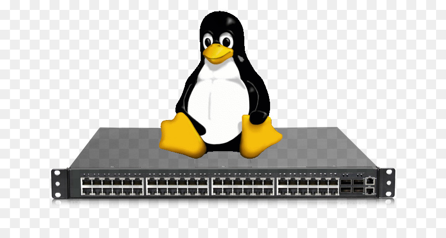 Linux，Bilgisayar Ağ PNG