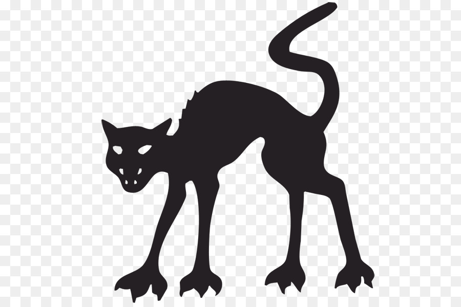 Kedi，Cadılar Bayramı PNG