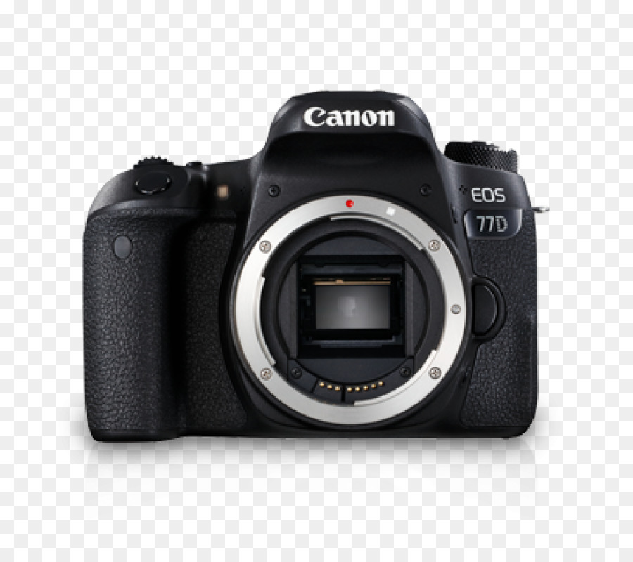 800 D Canon Eos，Dijital Slr PNG