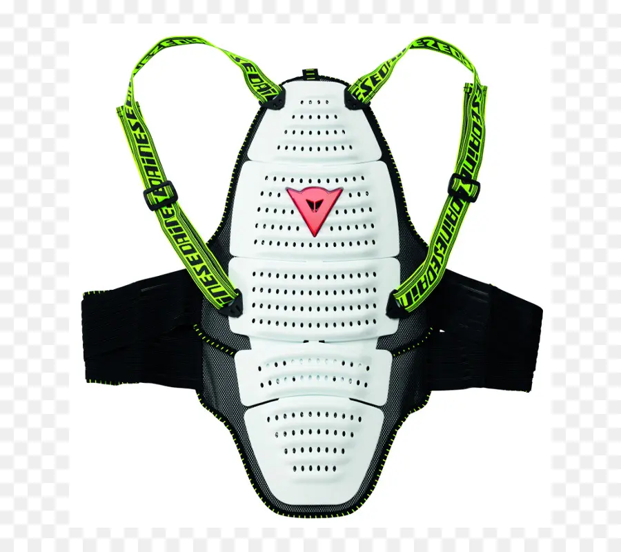 Arka Koruyucu，Dainese PNG