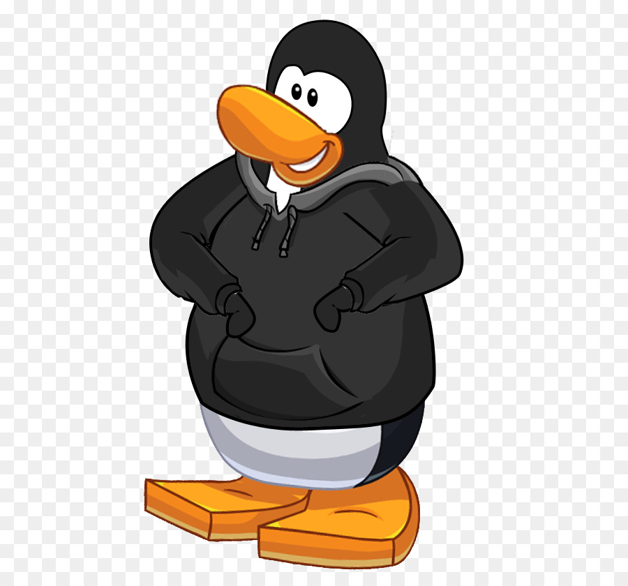 Penguen，Kuş PNG