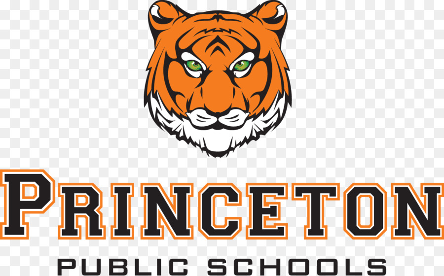 Princeton Üniversitesi，Okul PNG