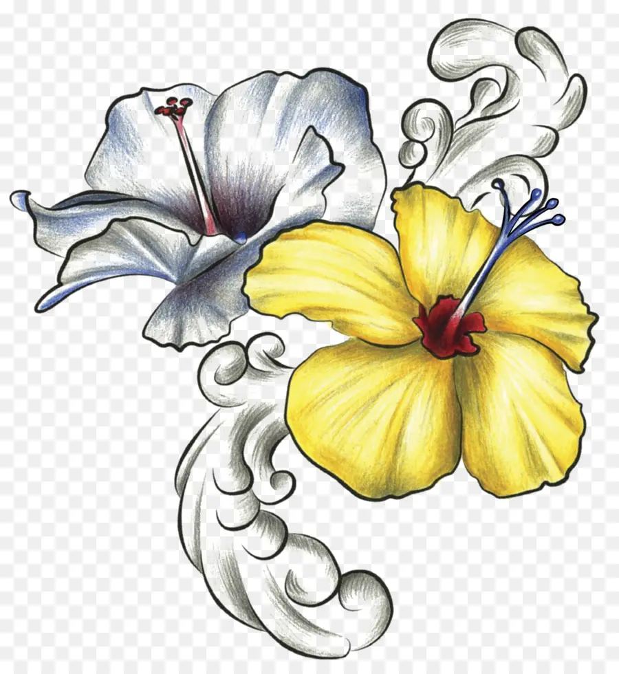 Hibiskus çiçekleri，Ebegümeci PNG