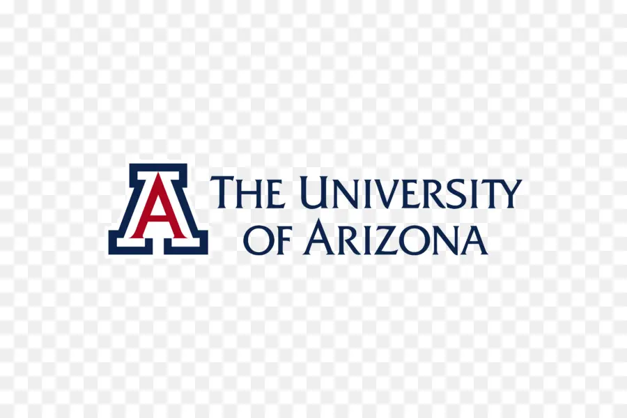 Arizona Üniversitesi，Eğitim PNG