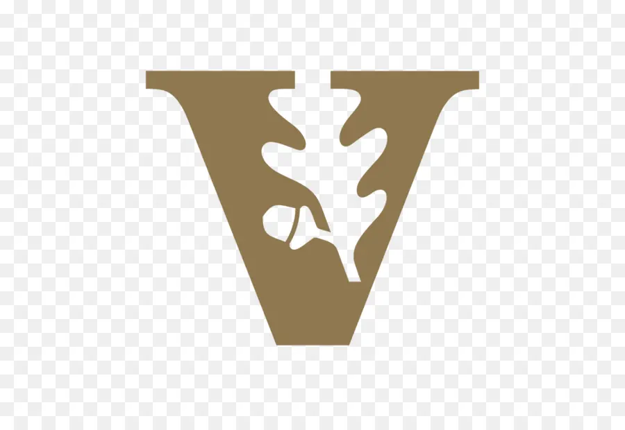 Vanderbilt Üniversitesi Logosu，Eğitim PNG