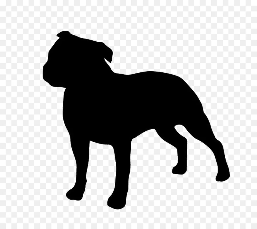 Staffordshire Bull Terrier，Boğa Terrier PNG