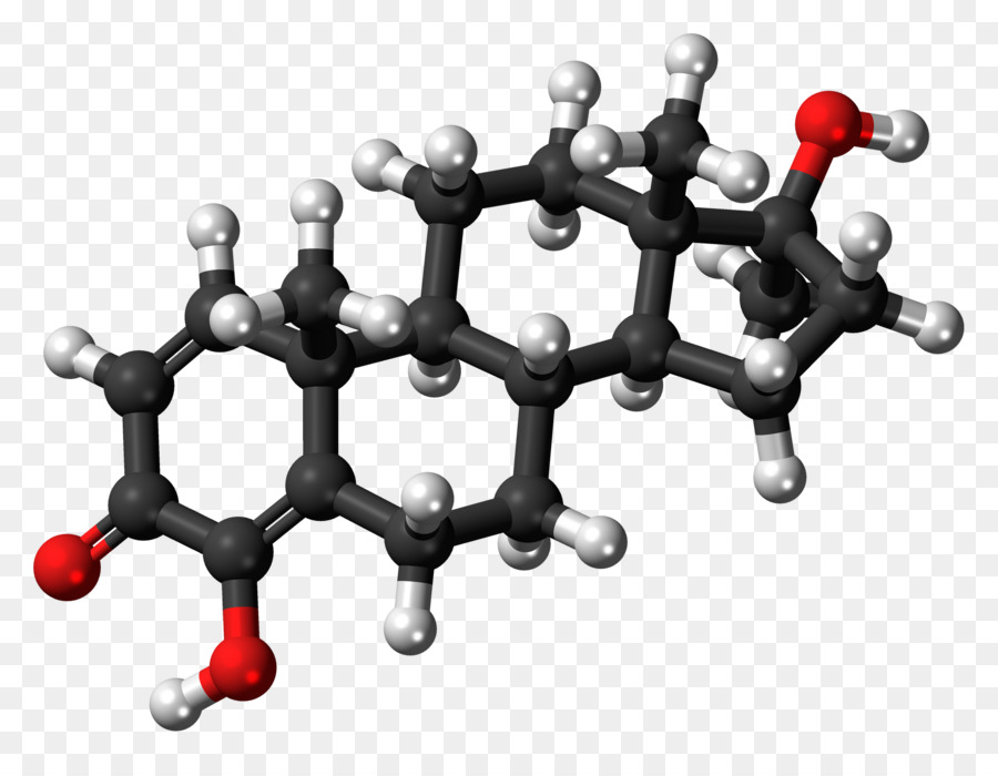 Kortizol，Testosteron PNG