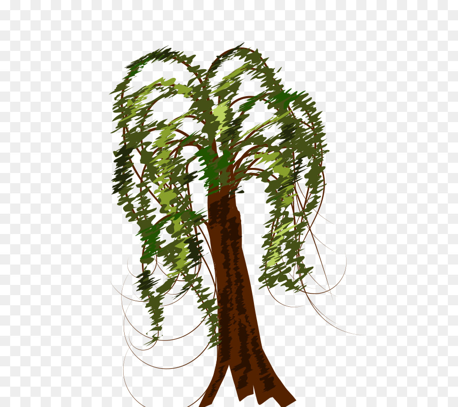 Ağaç，Dal PNG