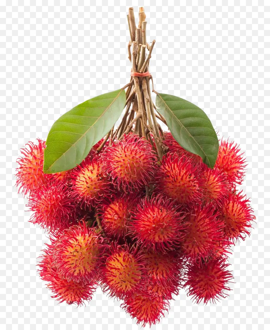 Rambutan，Tropikal PNG