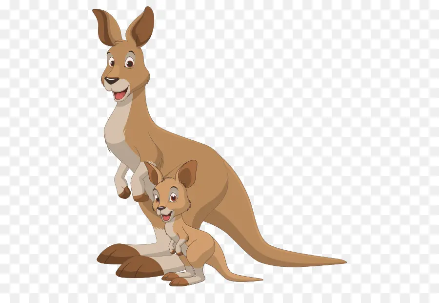 Kanguru，Bebek Kanguru PNG
