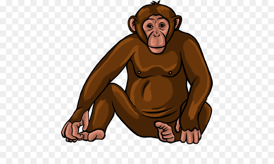 Ortak şempanze，Insan PNG