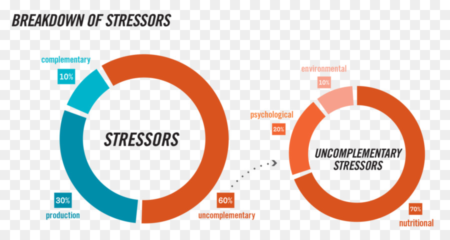 Stres Etkenlerinin Dağılımı，Stres Etkenleri PNG