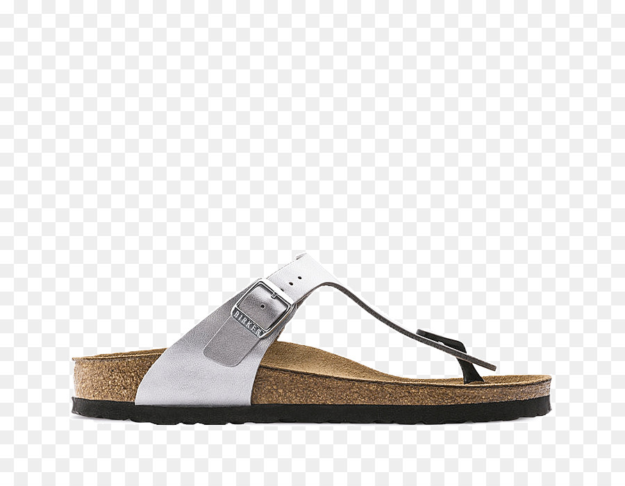 Terlik，Birkenstock PNG